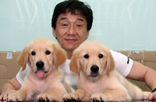 Jackie-Chan-jackie-chan-11961109-535-350